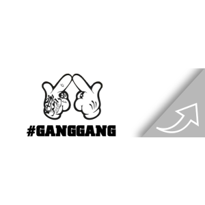 GangGang - Nikotinsalz Liquids