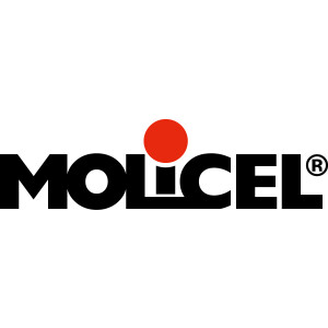 Molicel INR21700-P42A 4000mAh