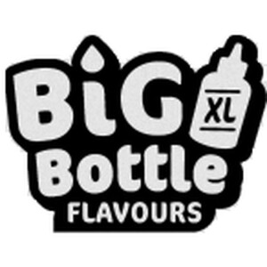 Big Bottle Nikotinsalz Liquid Artic Mint 10 ml 10 mg/ml